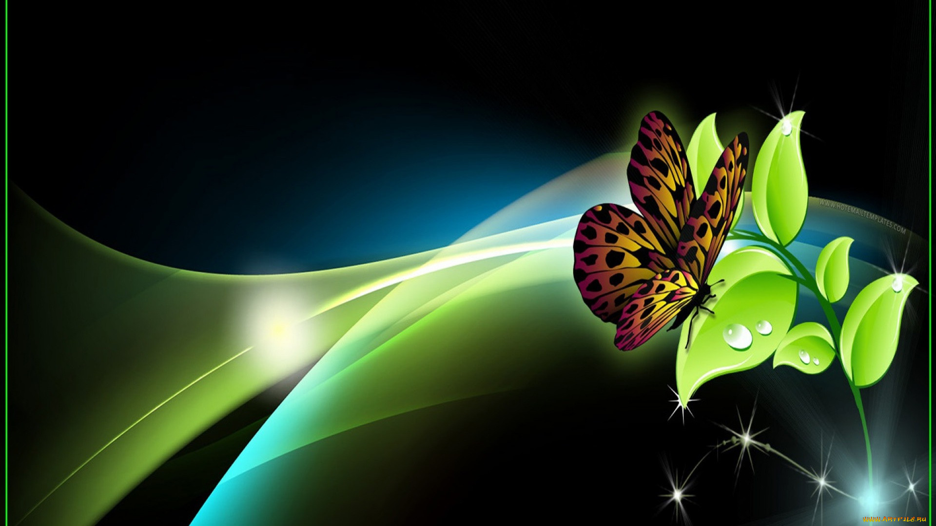  ,  , animals, , 